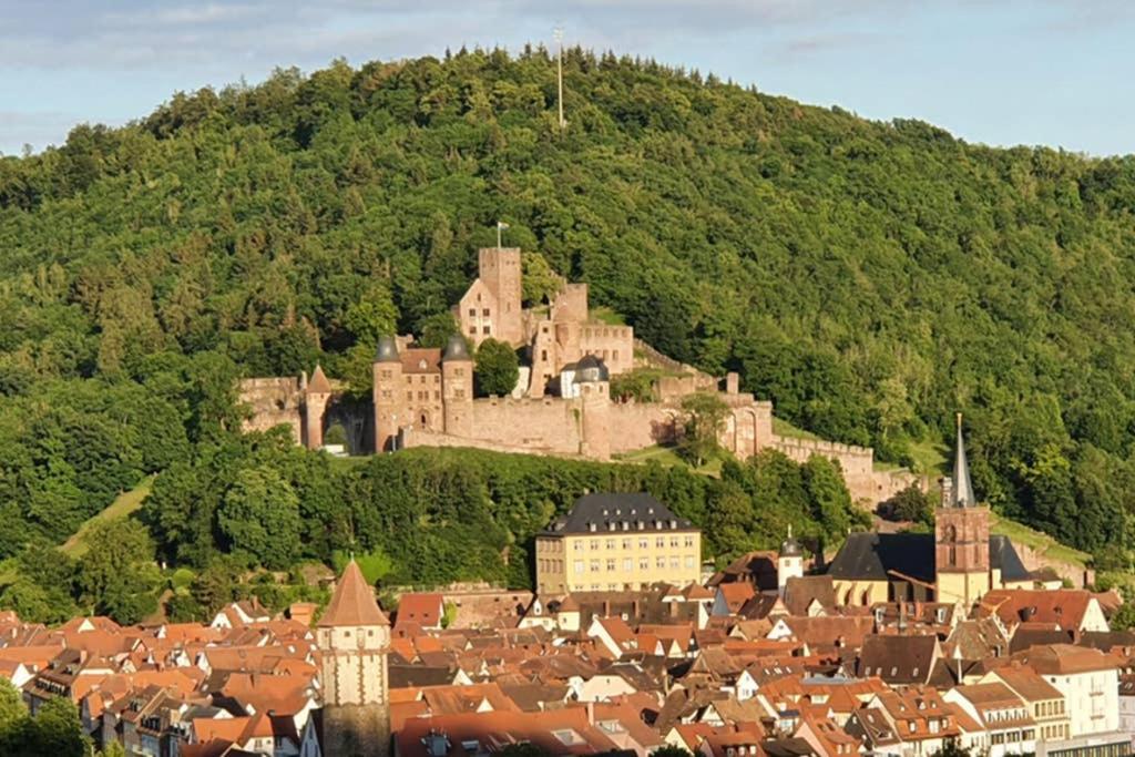 Ferienwohnung 'Burgblick' Wertheim Exterior foto